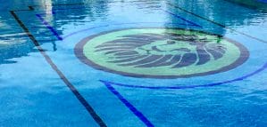 Inground pool with lion mosaic design